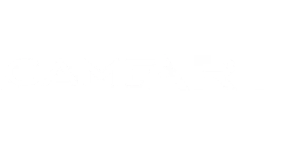 partners who work with leon